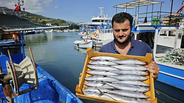 Karadeniz'de balıkçıların yüzü gülüyor