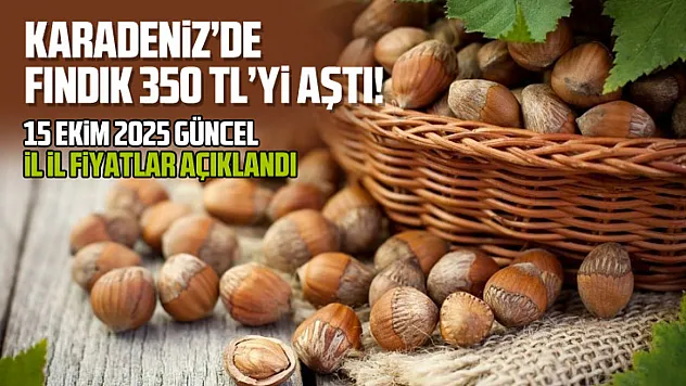 Karadeniz'de Fındık 350 TL'yi Aştı! 15 Ekim 2025 Güncel İl İl Fiyatlar Açıklandı