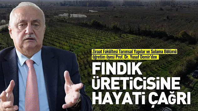 Karadeniz'de fındık alarmı! Sulama artık kaçınılmaz