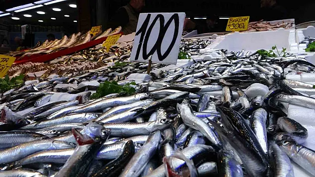 Karadeniz'de hamsi bereketi yaşanıyor