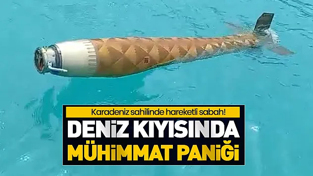 Karadeniz'de Hareketli Saatler: Deniz kıyısında mühimmat bulundu!