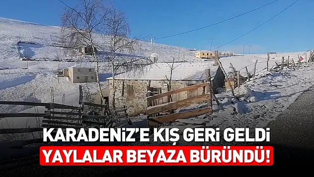 Karadeniz'de kış bitmiyor, yaylalarda kar lapa lapa yağıyor!