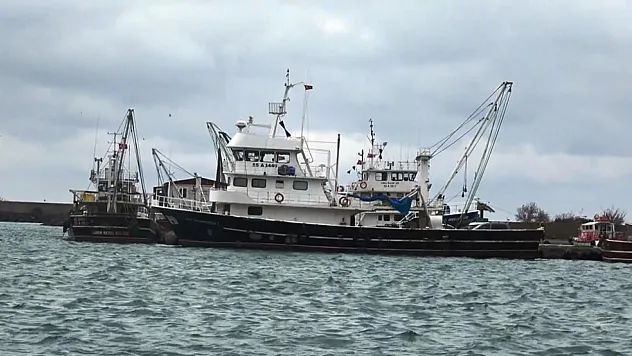 Karadeniz'de Lüfer Tezgâha İnmiyor