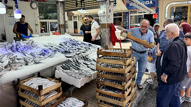 Karadeniz'de palamut bereketi başladı