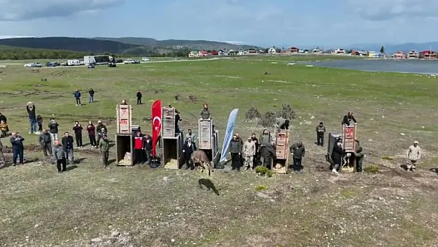 Karadeniz doğasına can suyu