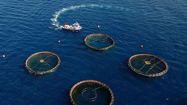 Karadeniz'in su ürünleri ihracatı ilk çeyrekte 85 milyon doları aştı