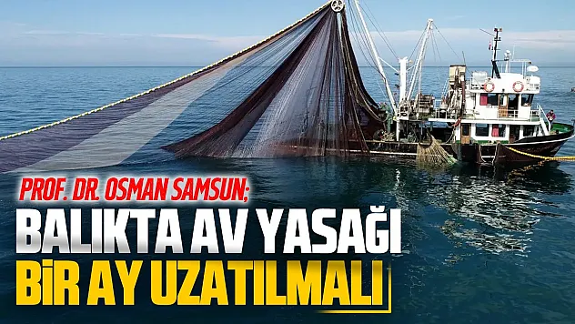 Karadeniz palamudunda erken avlanma tehlikesi