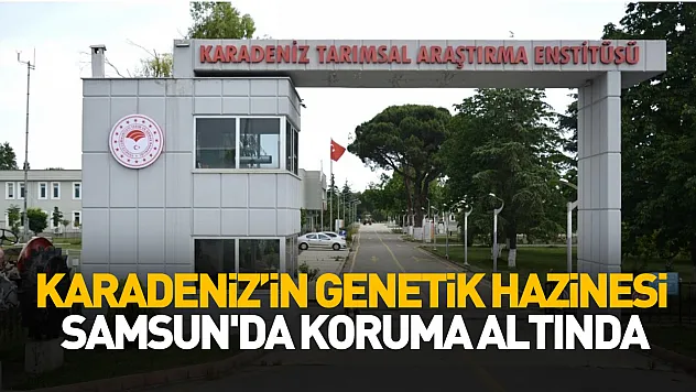 Karadeniz Tarımsal Araştırma Enstitüsü, Karadeniz'ın genetik mirasını korumaya aldı