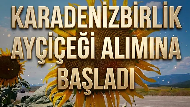 KaradenizBirlik bu sezon 35 bin ton ayçiçeği alımı hedefliyor