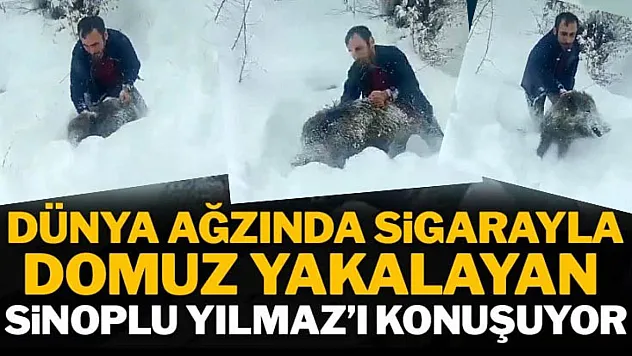 Karlı yolda yaban domuzunu elleriyle yakaladı