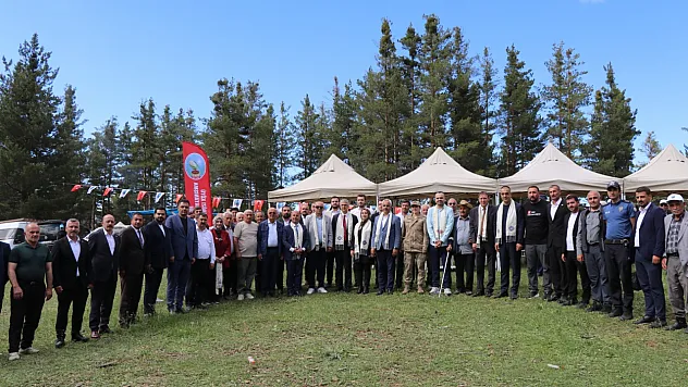 Karnavas Dut Pekmezi Festivali'nde çocuklar parmakla pekmez yemek için yarıştı
