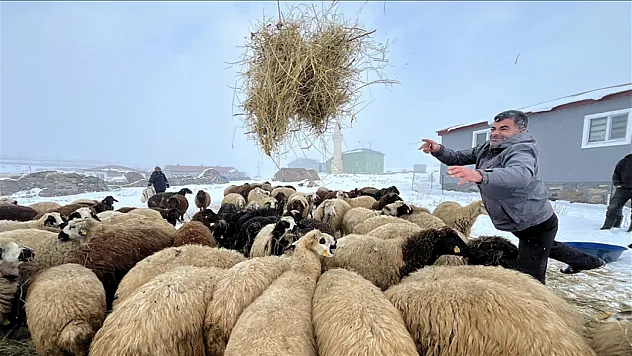 Kars'ta besicilerin zorlu kış mesaisi başladı
