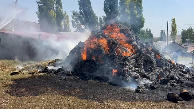 Kars'ta bin balya ot yangında kül oldu