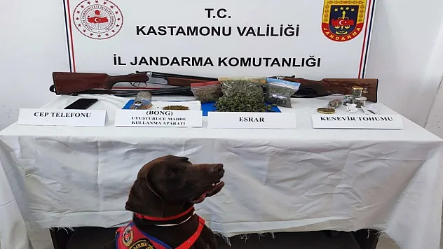 Kastamonu'da uyuşturucu operasyonu