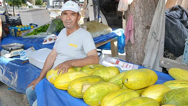 Kavunda hasat başladı