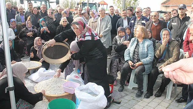 Kazak fasulyesinde ilk hasat festivali yapıldı