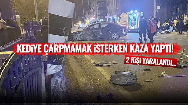 Kediye çarpmamak isterken kaza yaptı! 2 kişi yaralandı...