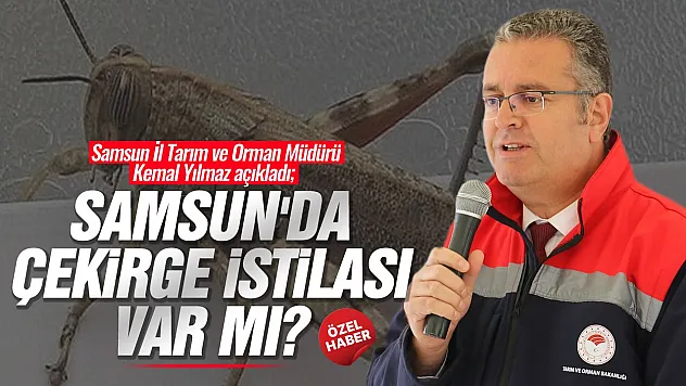 Kemal Yılmaz, çekirge istilası iddialarına açıklık getirdi