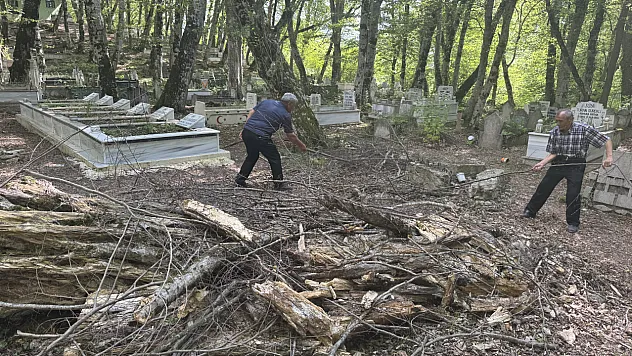 Kendiliğinden kopmuş olsa bile dalları evlerine götürmüyor