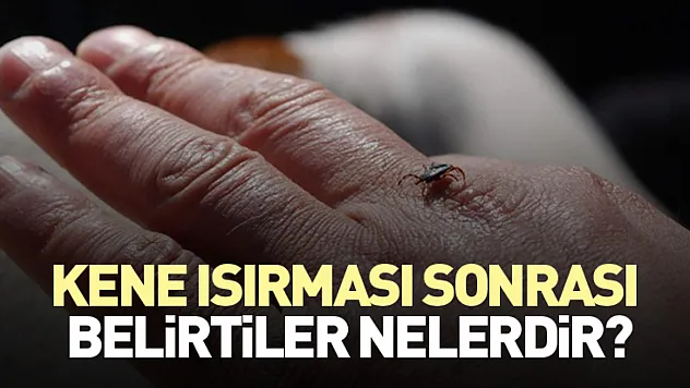 Kene ısırması sonrası belirtiler nelerdir?