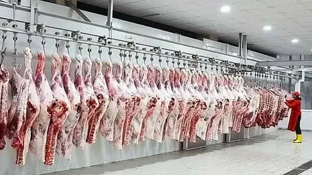 Kesimhanelere 7/24 Kamera ve 'Eziyetsiz Kesim' Zorunluluğu