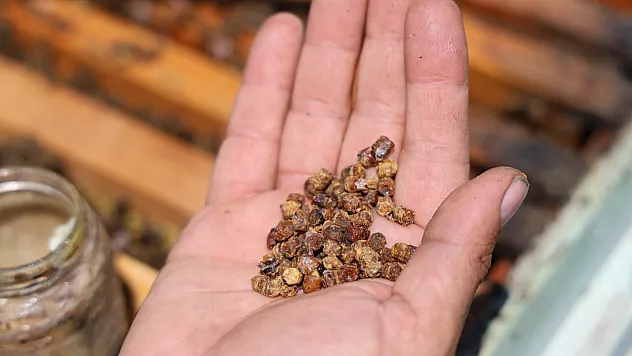 Kilosu 3 bin TL'den satılıyor