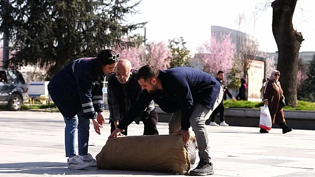 Kimse kaldıramadı, Seyit Onbaşı kaldırmıştı: Duygulandıran sosyal deney