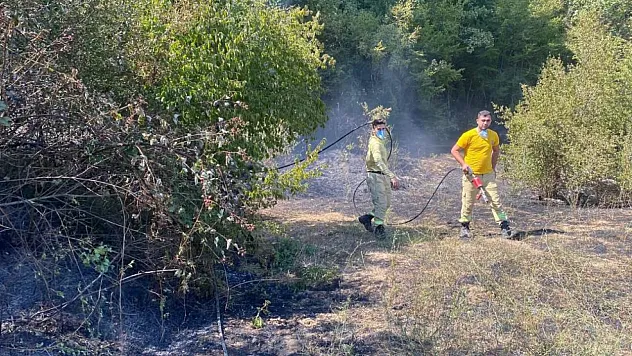 Kırklareli'de orman yangını