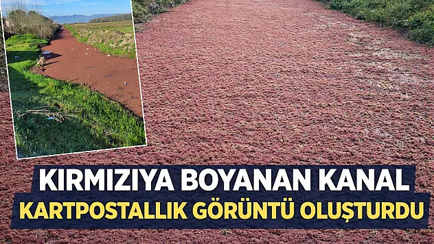 Görenler Gözlerine İnanamadı: Sulama Kanalı Kızıla Büründü!