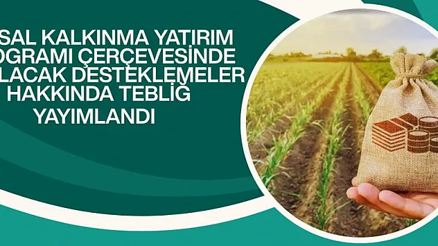 Kırsal kalkınma yatırımlarında hibe oranı yüzde 70'e kadar yükseldi