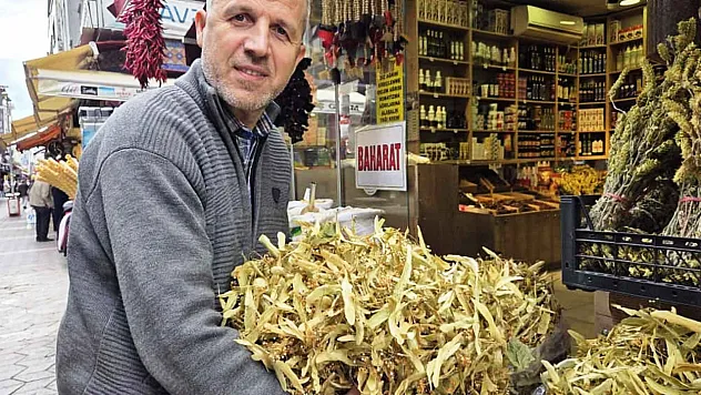 Kış Aylarının Vazgeçilmezi Ihlamura Talep Artıyor