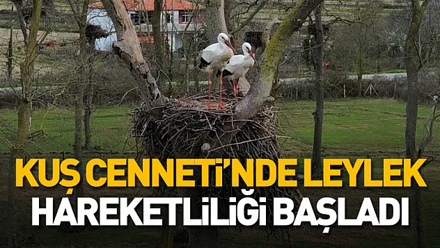 Kızılırmak Deltası Kuş Cenneti'nde leylek hareketliliği başladı