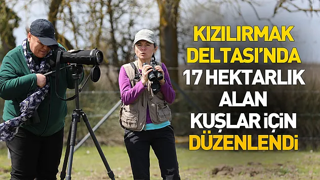 Kızılırmak Deltası'nda 17 hektarlık alan kız kuşlarının üremesi için düzenlendi