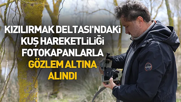 Kızılırmak Deltası'ndaki kuş hareketliliği fotokapanlarla izleniyor
