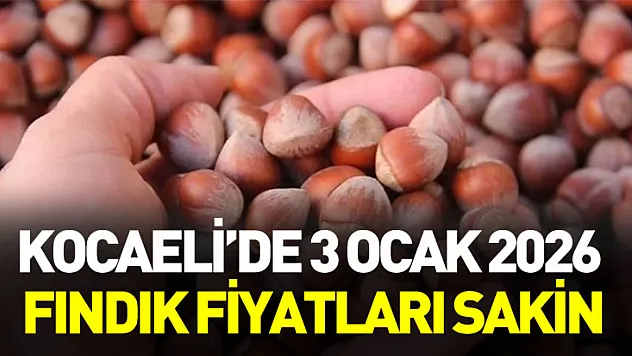 Kocaeli'de 3 Ocak 2026 Fındık Fiyatları Sakin