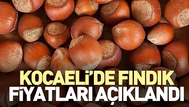 Kocaeli'de Fındık Fiyatları Açıklandı