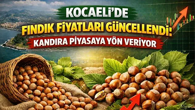 Kocaeli'de Fındık Fiyatları Güncellendi: Kandıra Piyasaya Yön Veriyor