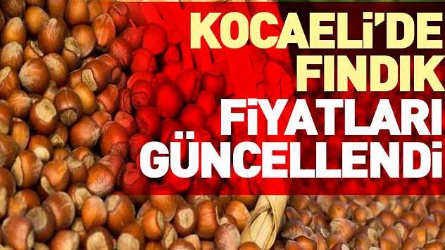 Kocaeli'de Fındık Fiyatları Güncellendi