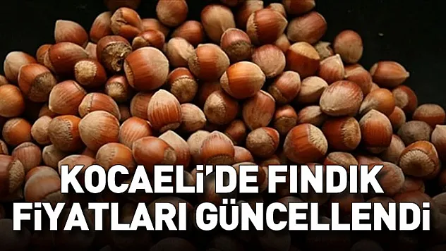Kocaeli'de Fındık Fiyatları Güncellendi: Kandıra Belirleyici Konumda