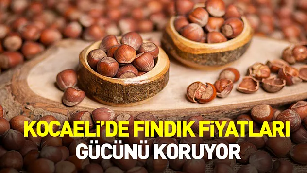 Kocaeli'de Fındık Fiyatları Gücünü Koruyor