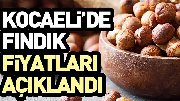 Kocaeli'de Fındık Fiyatları Kandıra Merkezli Şekilleniyor