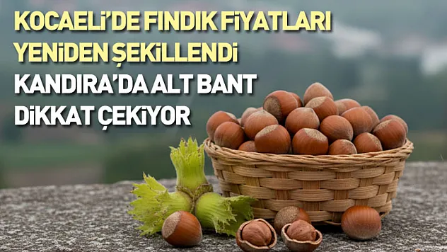 Kocaeli'de Fındık Fiyatları Yeniden Şekillendi: Kandıra'da Alt Bant Dikkat Çekiyor