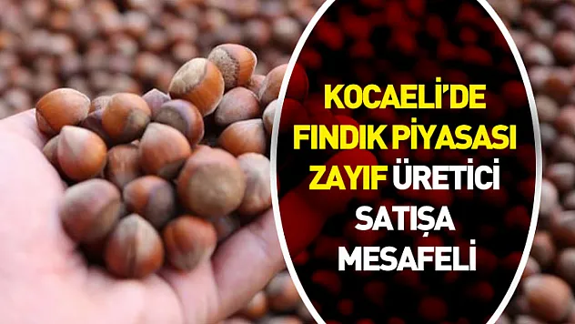 27 Ocak 2026 Kocaeli Fındık Fiyatları | Fındık Piyasası Zayıf