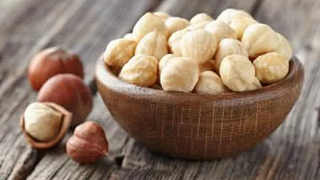 Kocaeli Fındığında 25 Mart Depremi | Fiyatlar Çakıldı mı?