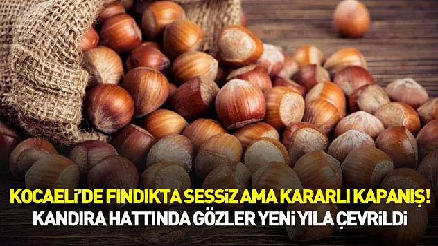 Kocaeli'de Fındıkta Sessiz Ama Kararlı Kapanış! Kandıra Hattında Gözler Yeni Yıla Çevrildi