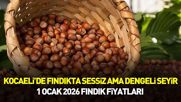 Kocaeli'de Fındıkta Sessiz Ama Dengeli Seyir – 1 Ocak 2026 Fındık Fiyatları