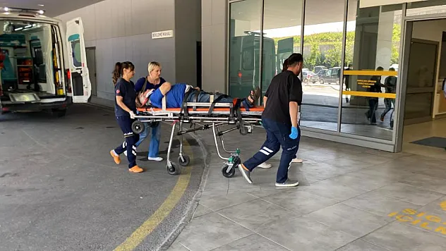 Kocaeli'de otomobil ağaca çarptı