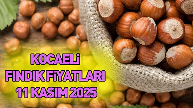 Kocaeli Fındık Fiyatları 11 Kasım 2025
