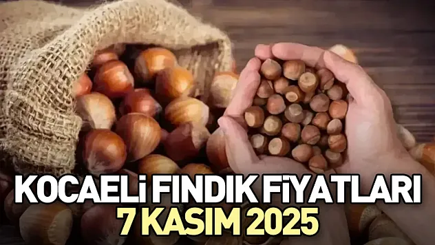 Kocaeli Fındık Fiyatları 7 Kasım 2025
