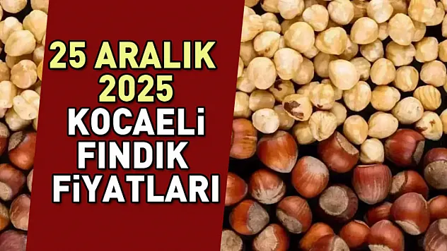 Kocaeli Fındık Fiyatları Sanayiyle Güçlü | 25 Aralık'ta Kandıra Öne Çıkıyor
